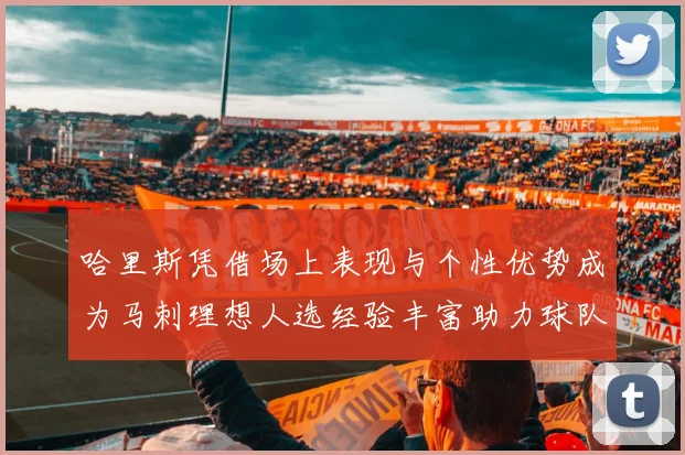 哈里斯凭借场上表现与个性优势成为马刺理想人选经验丰富助力球队发展