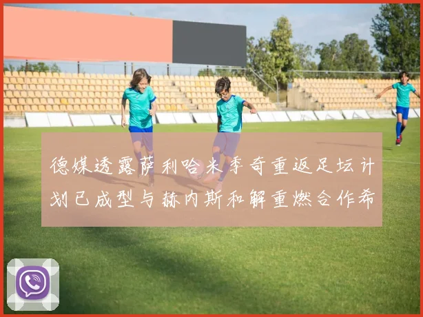 德媒透露萨利哈米季奇重返足坛计划已成型与赫内斯和解重燃合作希望